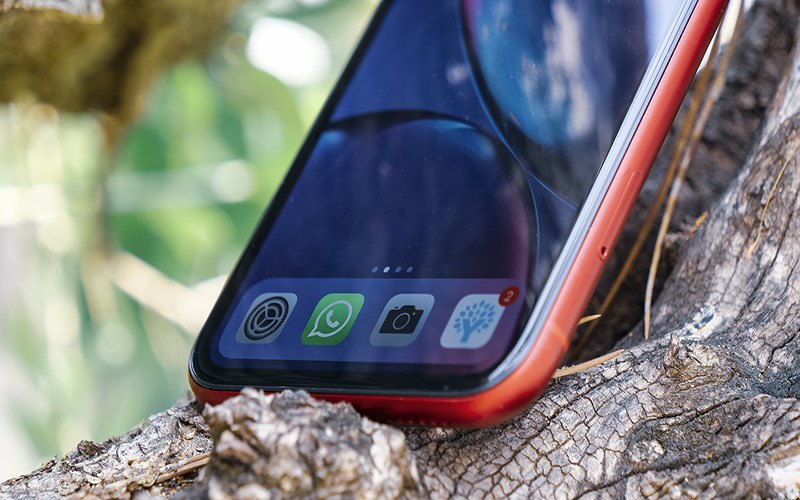 اپل فروش آیفون XR ریفربیشد را آغاز کرد 